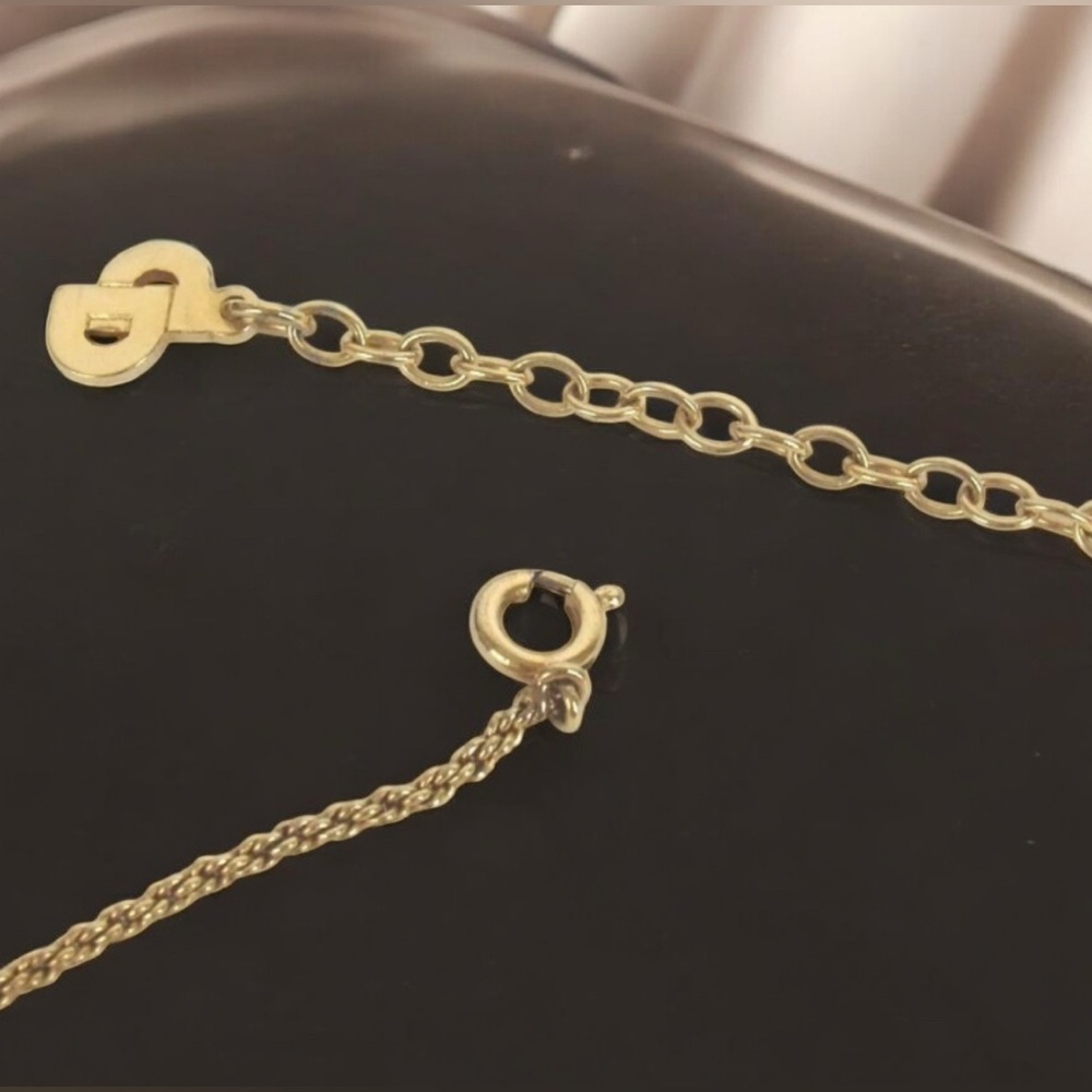 DIOR Signature Logo Necklace- Germany π - Picture 6 of 11